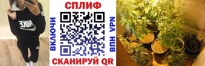 Наркошоп купить Марихуана  COCAIN  Гашиш  Alpha-PVP  Меф  Нахабино