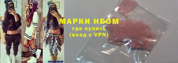 стафф Ельня