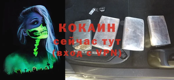 стафф Ельня