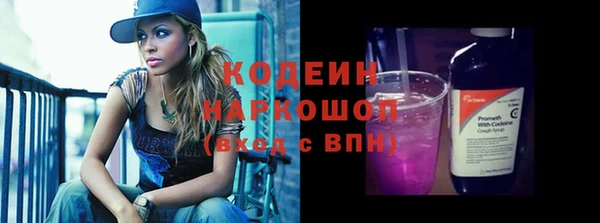 стафф Ельня