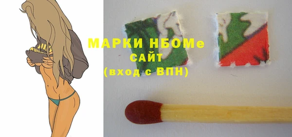 стафф Ельня