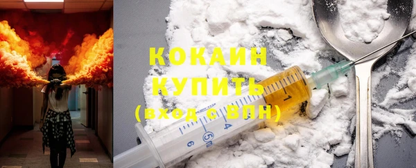 стафф Ельня