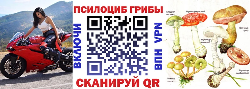 Купить  Нахабино  Галлюциногенные грибы MAGIC MUSHROOMS 